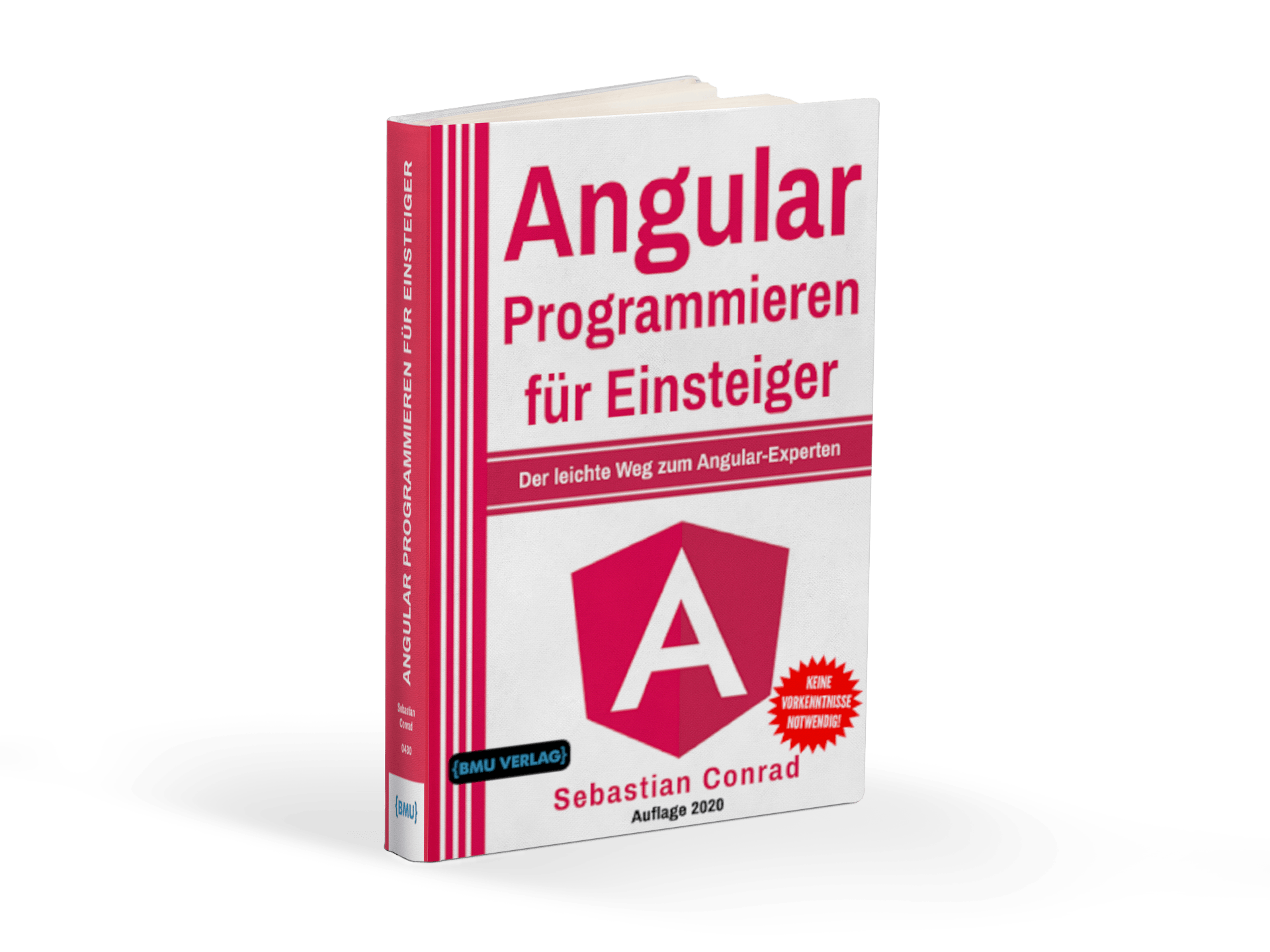 Angular: Programmieren für Einsteiger: Der leichte Weg zum Angular-Exp